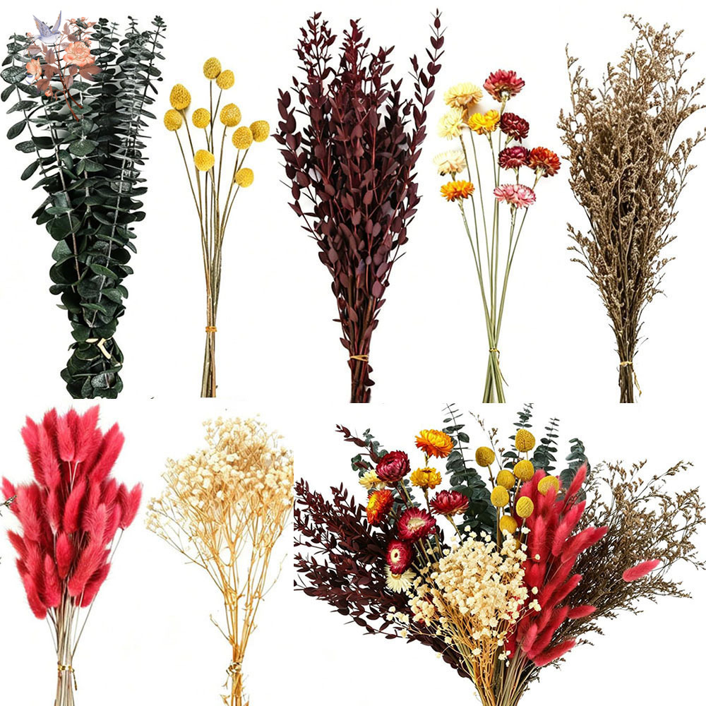 Florist Supply Bulk - Dried Flowers Bulk Set 7 Kinds