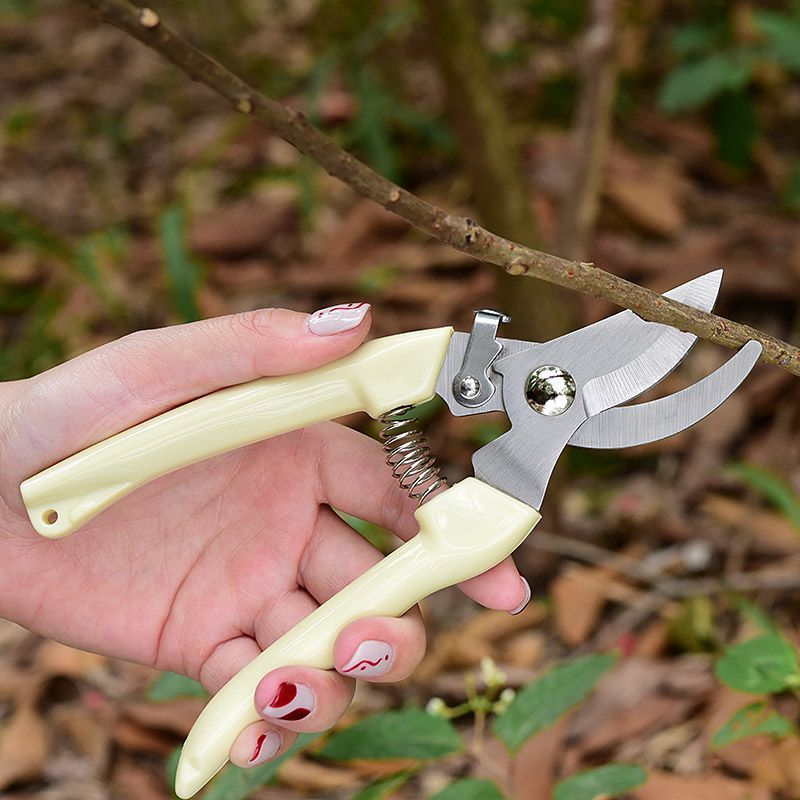 Florist Supply Bulk - Labor‑Saving Garden Pruning Shears, Professional Hand