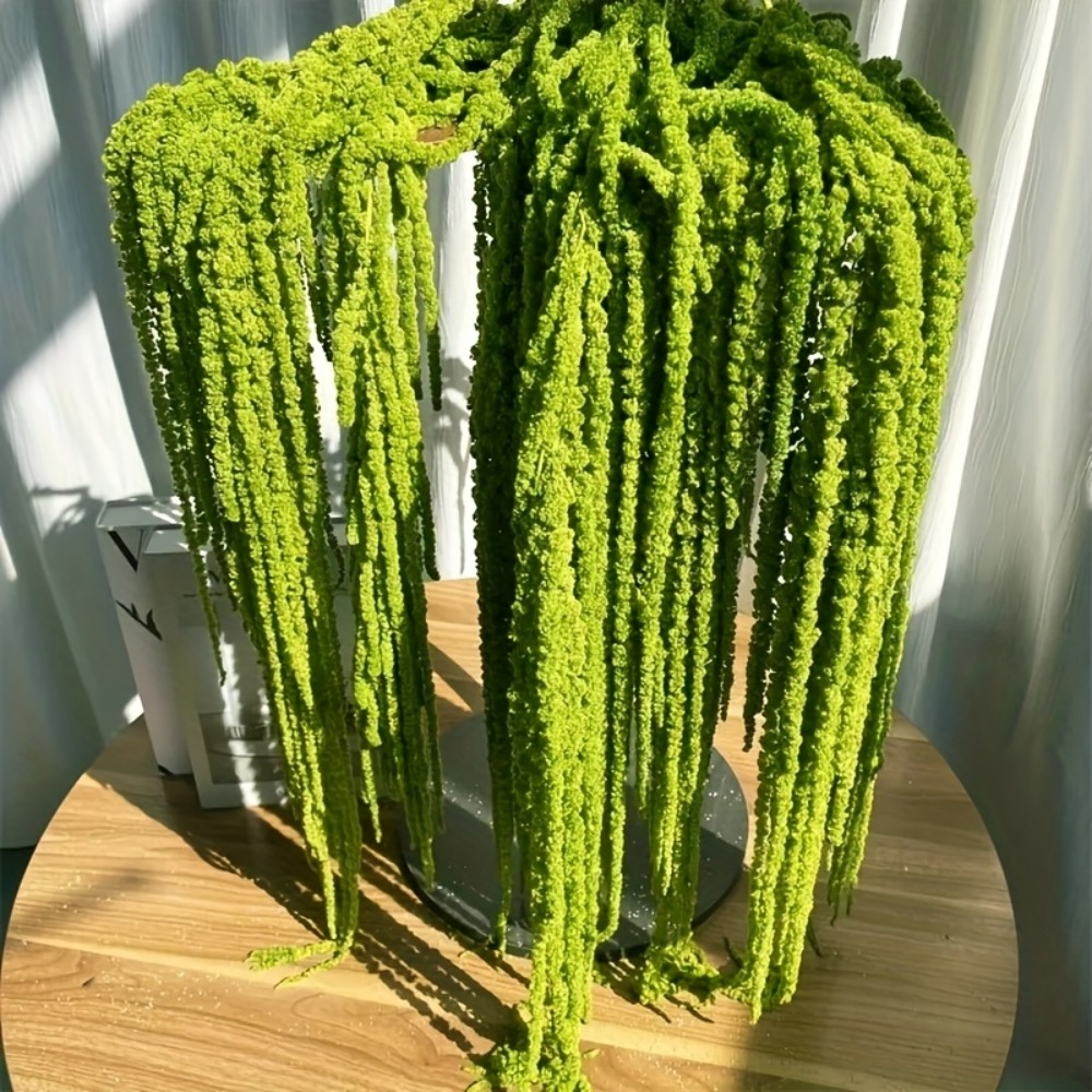 4 Piece Set Artificial Amarant - Preserved Moss Sheet 评论和价格