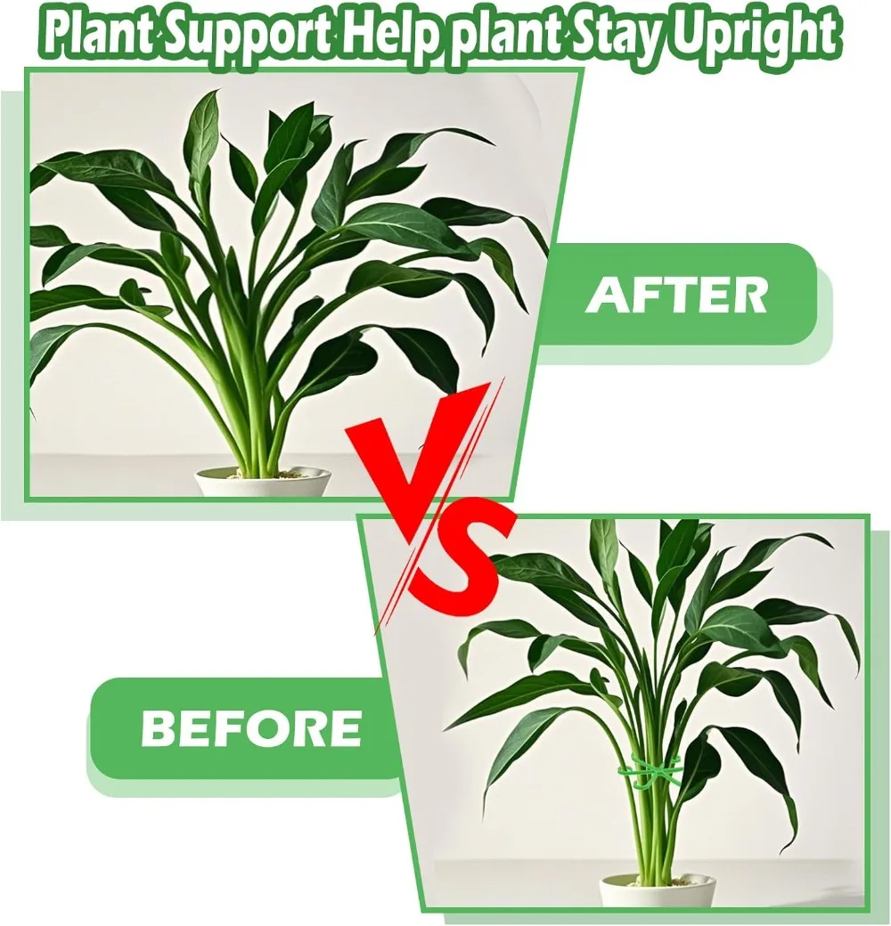 Flower Plant Stem Support Stak - Florist Supply Bulk 评论和价格