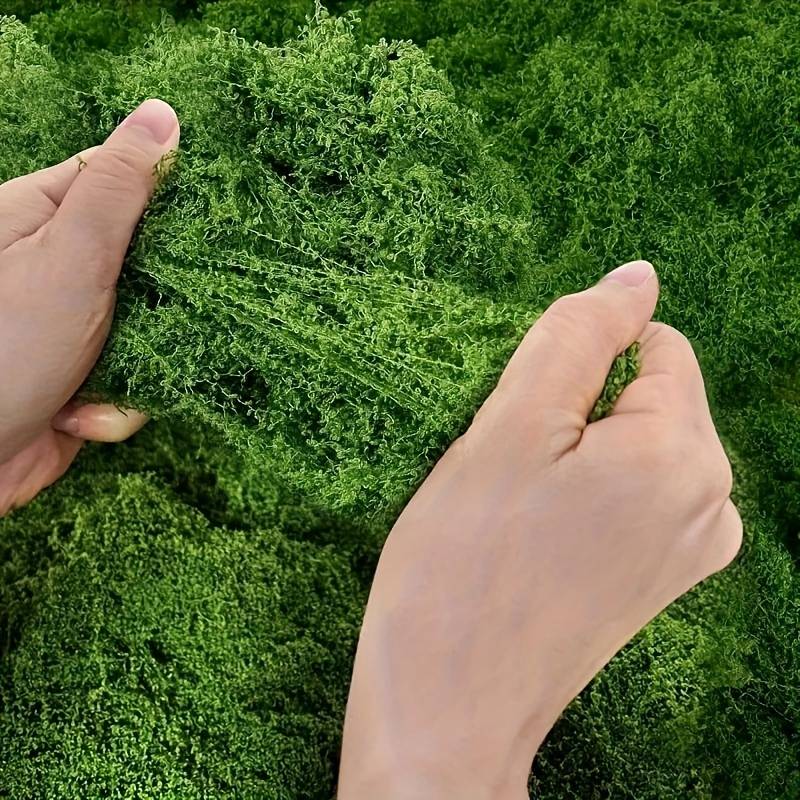 20' X 20' Faux Moss Mat for Pl - Preserved Moss Sheet 评论和价格