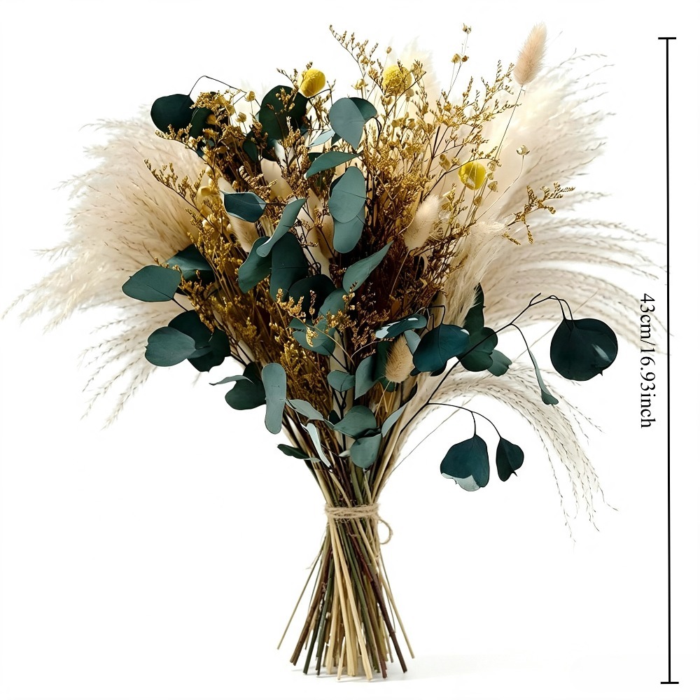 Natural Dried Pampas Grass Bou - Eucalyptus Preserved 评论和价格
