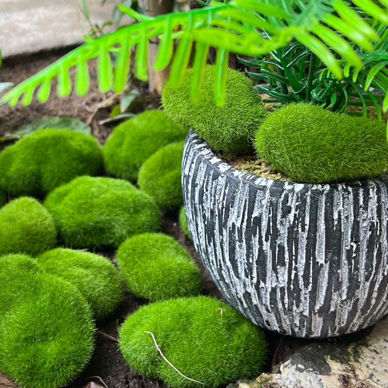 100/5PCS Artificial Moss Rock  - Preserved Moss Sheet 评论和价格