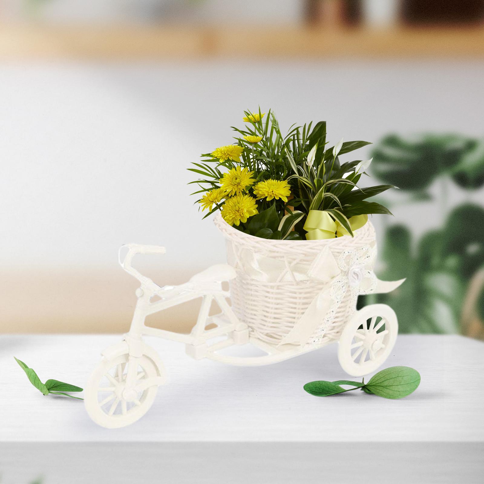 Bicycle Artificial Flower Bask - Florist Supply Vases 评论和价格