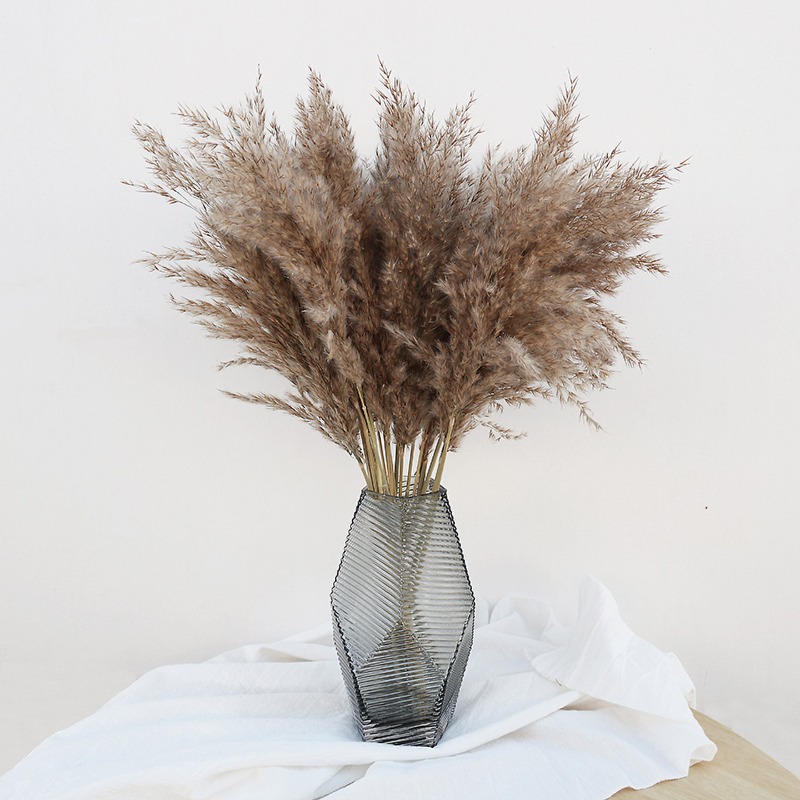 10Pcs Colorful Natural Reeds P - Florist Supply Vases 评论和价格
