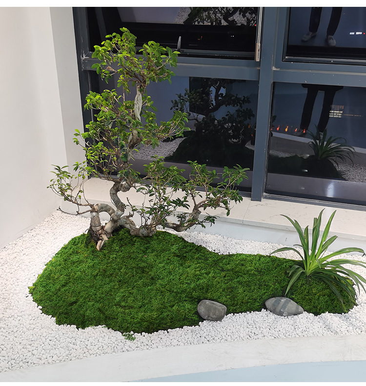 Artificial moss filaments moss - Preserved Moss Sheet 评论和价格