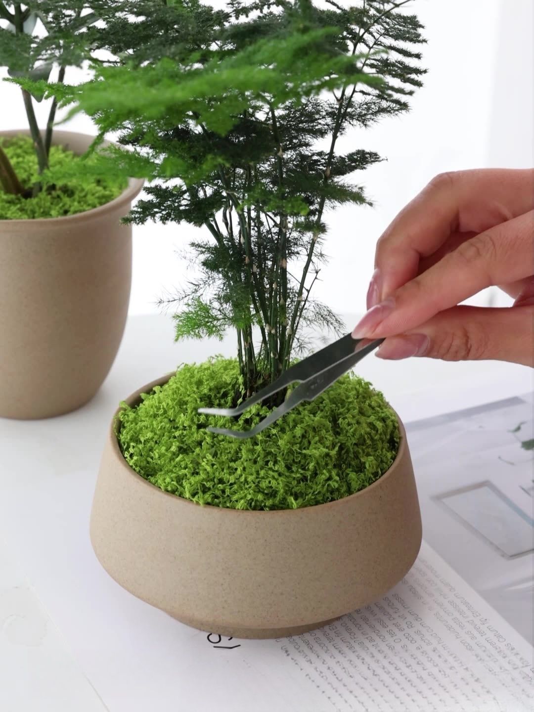 Artificial moss filaments moss - Preserved Moss Sheet 评论和价格