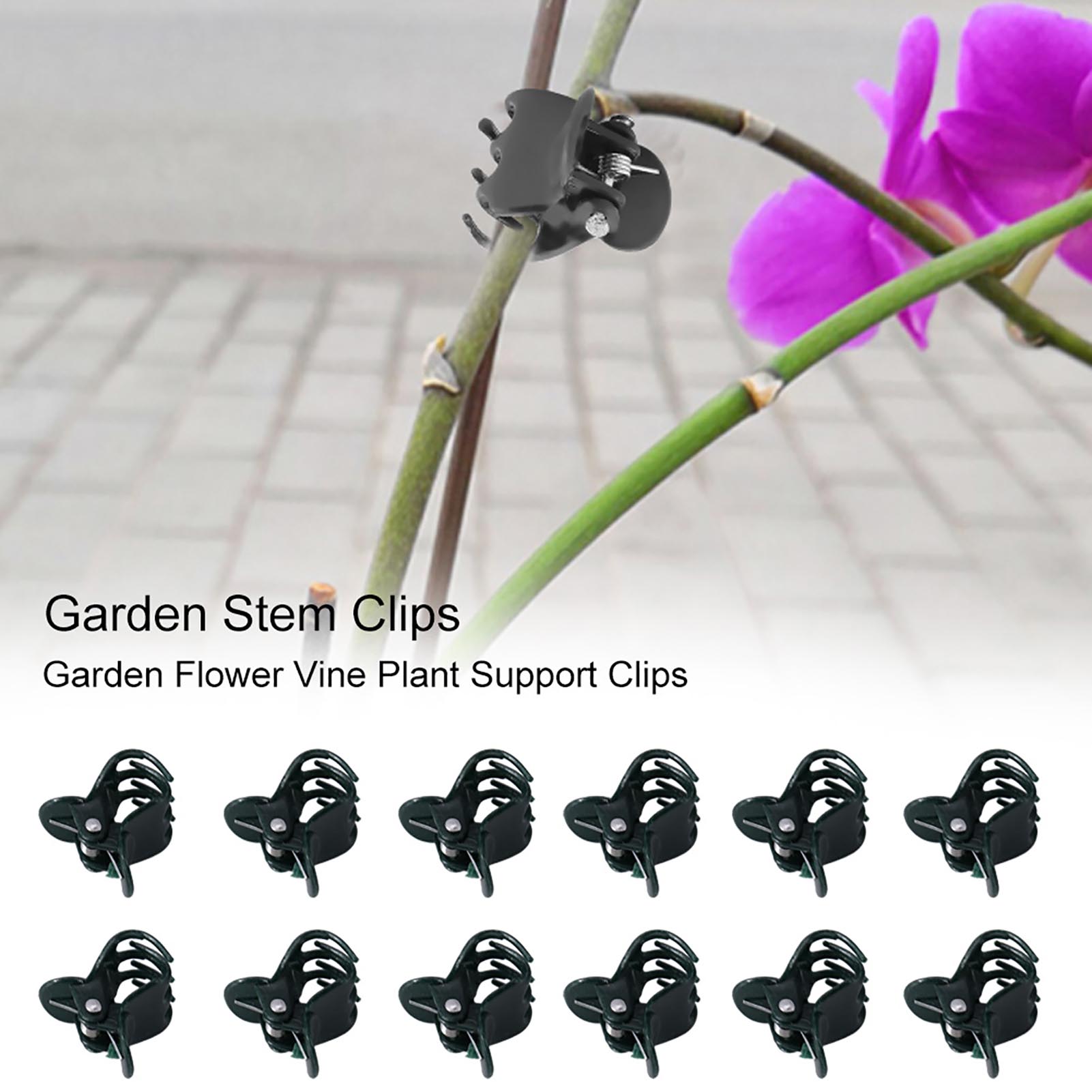 100pcs Mini Plant Clips Garden - Florist Supply Bulk 评论和价格