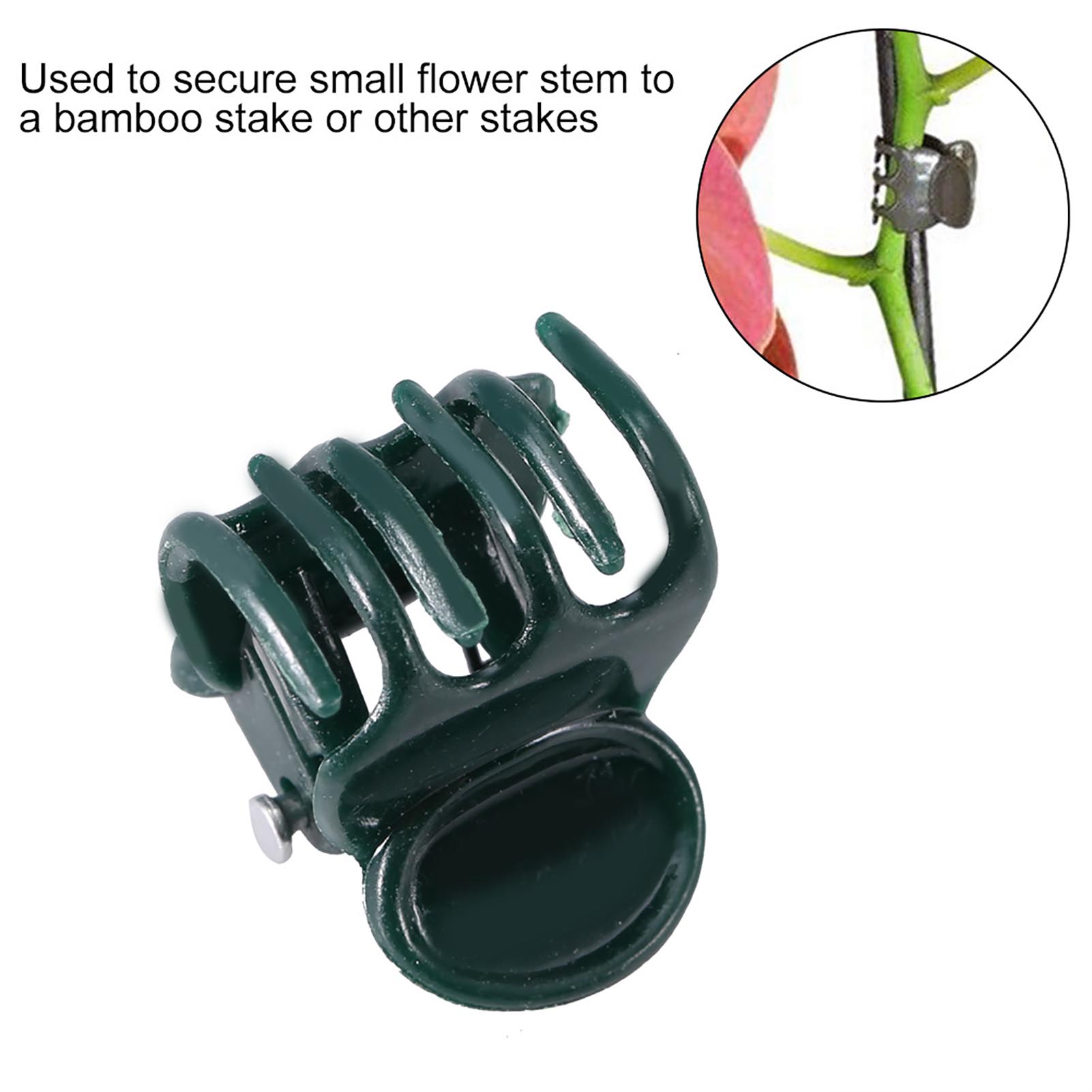 100pcs Mini Plant Clips Garden - Florist Supply Bulk 评论和价格