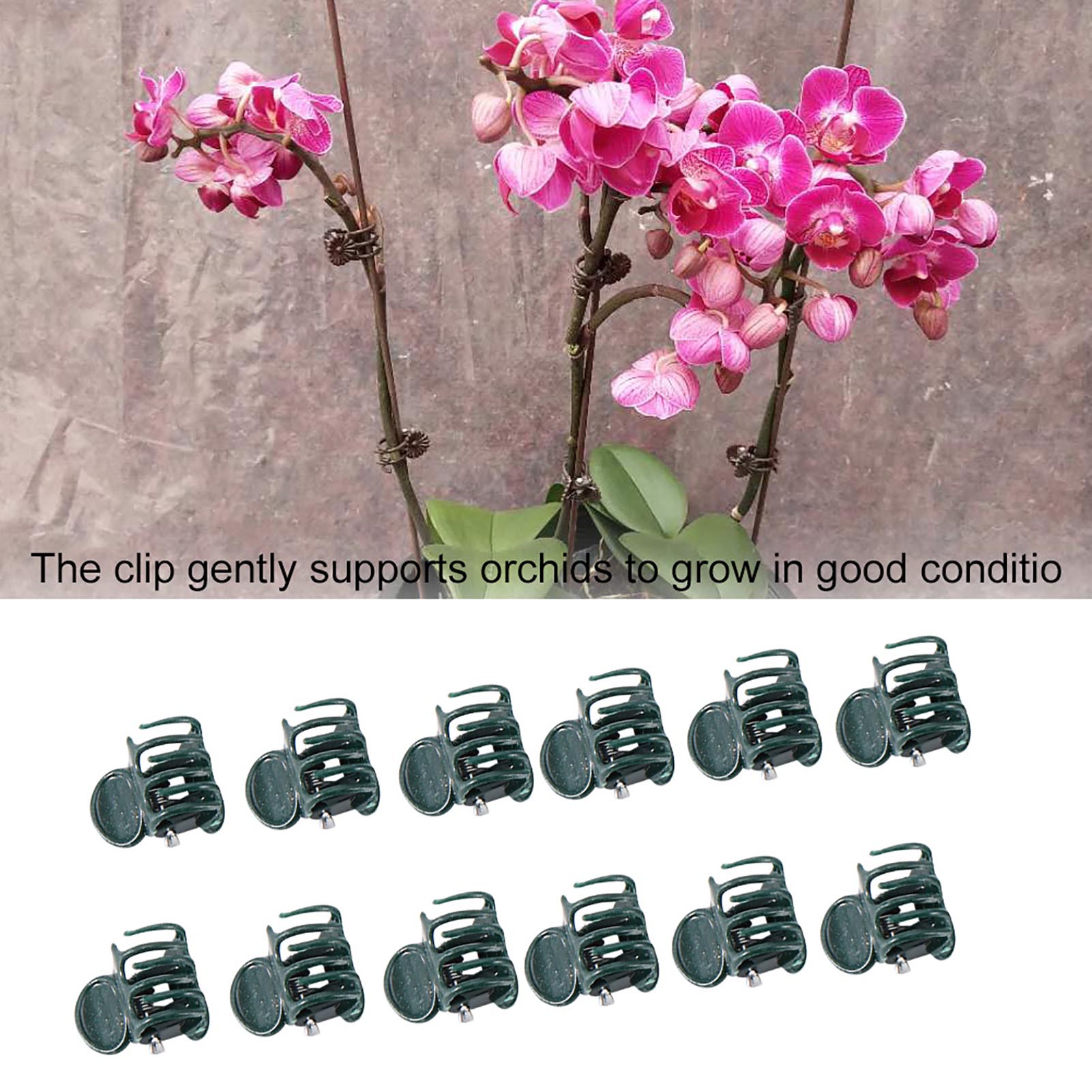 100pcs Mini Plant Clips Garden - Florist Supply Bulk 评论和价格