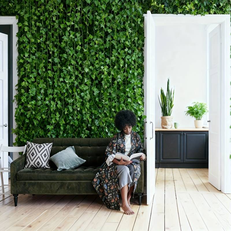 24 PCS Total 19m/755inch Ivy G - Preserved Moss Sheet 评论和价格