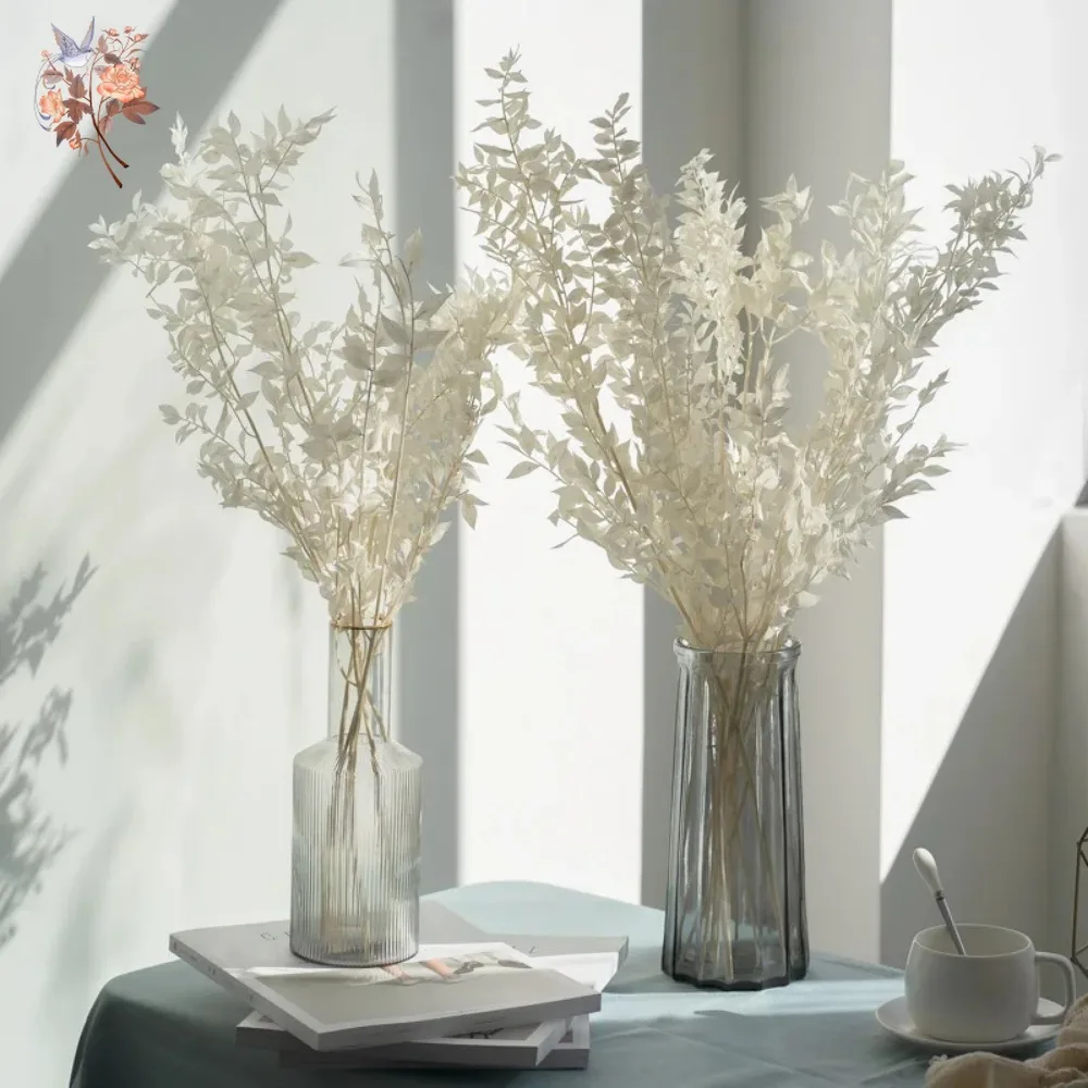 50g Artificial Dried Flower Ru - Eucalyptus Preserved 评论和价格