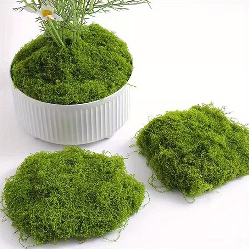 Green Fake Moss DIY Crafts Gra - Preserved Moss Sheet 评论和价格