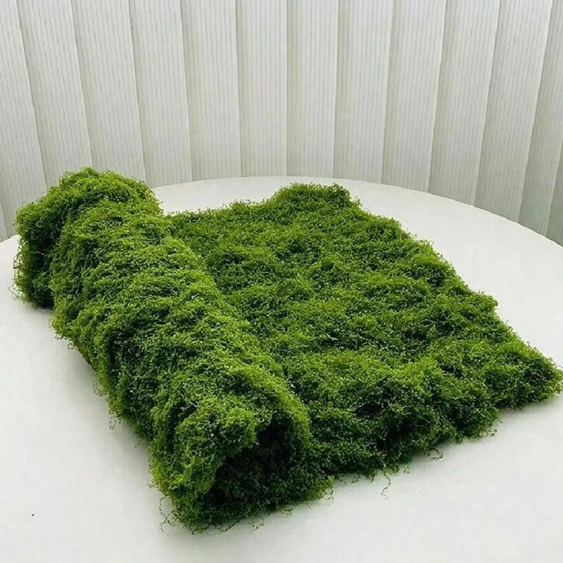 Artificial Moss for Micro-Land - Preserved Moss Sheet 评论和价格
