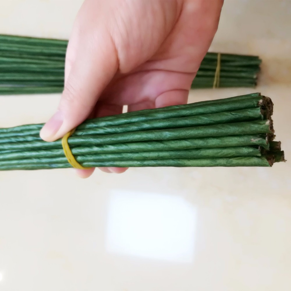 1mm 2/3/4/5mm 40/60cm Dark Gre - Florist Supply Bulk 评论和价格